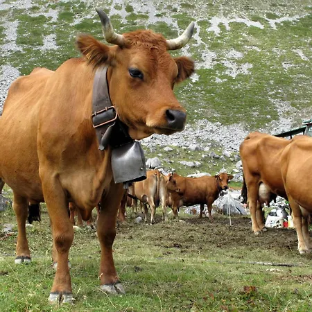 Serliofre 3 Pralognan-la-Vanoise